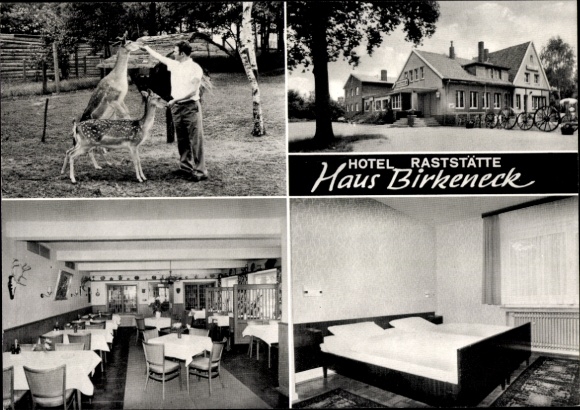 Klapp Ak Raestrup Everswinkel Telgte, Hotel Raststätte Haus Birkeneck, Wildgehege