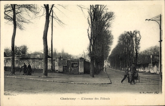 Postcard Châtenay Malabry Hauts de Seine, Avenue des Tilleuls