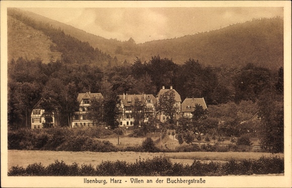 Postcard Ilsenburg im Harz, villas on the Buchbergstrasse
