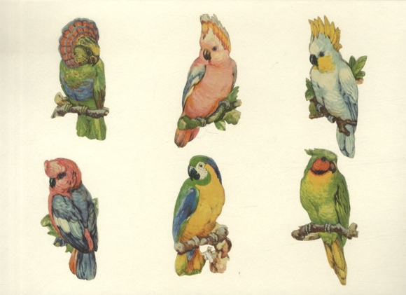 6 wafer parrots, each approx. 9 x 4.5 cm
