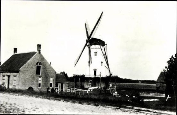 Set von 90 Ansichtskarten Windmühlen Niederlande