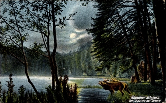 Moonlight Postcard Tornow Fürstenberg Havel, At the Teufelssee, Elch