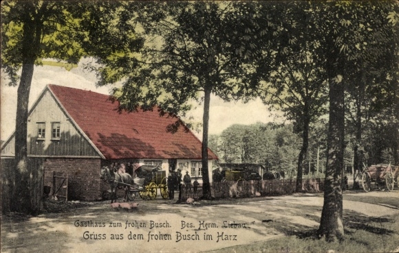 Ak Selke Aue in het Harzgebergte, herberg, paardenkoets, bos, landelijke omgeving