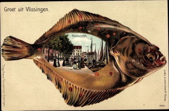 Fisch Chromo-Litho Vlissingen Zeeland Niederlande, Nieuwendijk, Flunder