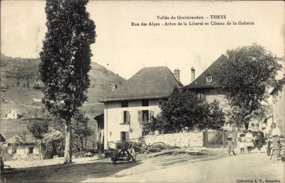 Ak Theys Isère, Vallée du Graisivaudan, Rue des Alpes, Arbre de la Liberté, Côteau de la Gabette