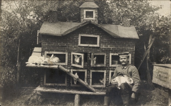 Foto Ak Deutscher Soldat in Uniform, Häuschen mit Kaninchen