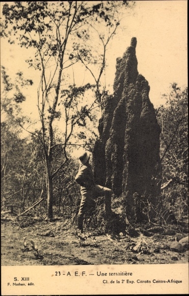 Postcard Une termitiere, man next to termite mound