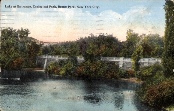 Ak Bronx New York City USA, meer, brug, dierentuin, Bronx Park, New York City