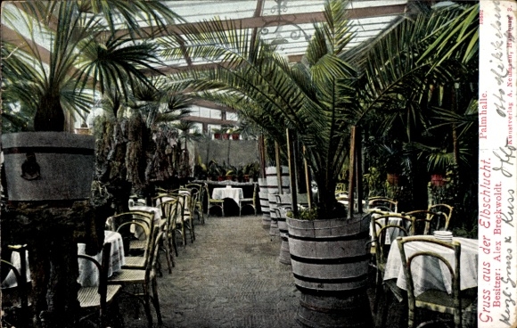 Postcard Hamburg Altona Ottensen, Elbschlucht, interior view of the Palmhalle, owner Alex Breckwoldt