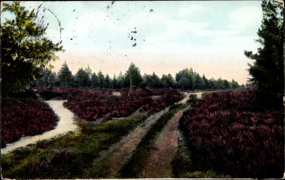 Ak Seppensen Buchholz in de Nordheide, pad naar de Höllenschlucht