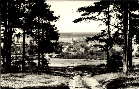 Ak Schönau vor dem Walde in Thüringen, Am Kirchstieg, Panorama
