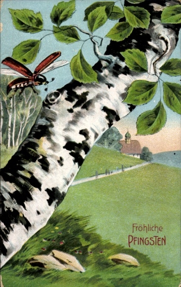 PC congratulations, Pentecost, village idyll, birch, cockchafer