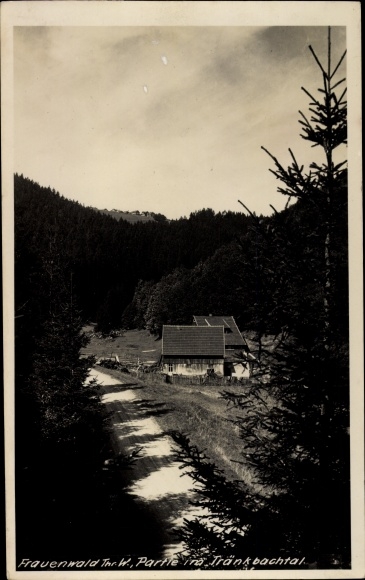 Photo Postcard Frauenwald on the Rennsteig Ilmenau in Thuringia, lot in the Tränkbachtal