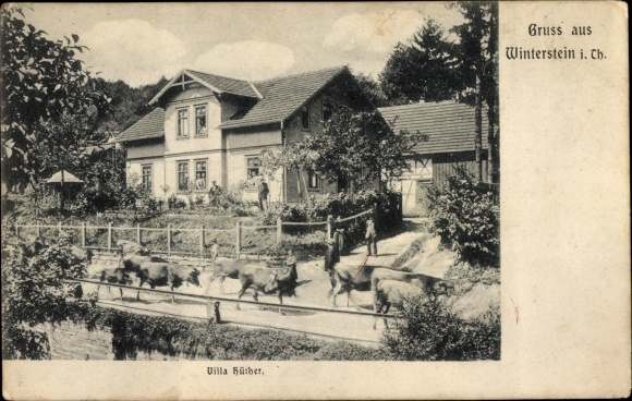 Ak Winterstein Waltershausen in Thüringen, Villa Hüther