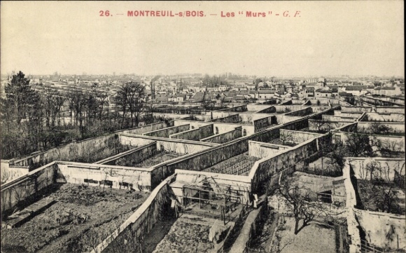 Ak Montreuil sous Bois Seine Saint Denis, Les Murs, Gärten