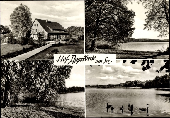 Ak Moisburg in Nedersaksen, Hof Appelbeck am See, eigenaar Gertrud Vollmers