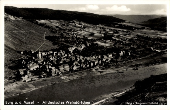 Ak Burg an der Mosel,  Altdeutsches Weindörfchen, Fliegeraufnahme