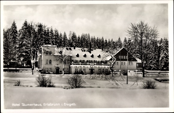 Ak Erlabrunn Breitenbrunn in het Ertsgebergte, Hotel Täumerhaus, winters uitzicht
