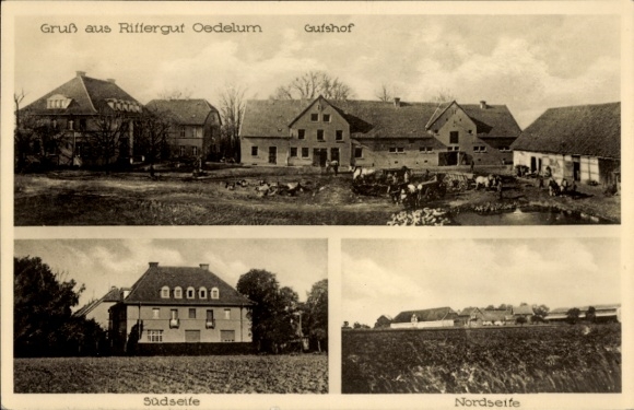 Postcard Oedelum Schellerten in Lower Saxony, estate, north and south side