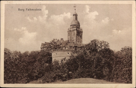 Ak Falkenstein in der Oberpfalz, Burg Falkenstein,   Burg, von Bäumen umgeben