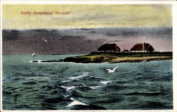 Ak Hallig Langeneß Noord-Friesland, huizen