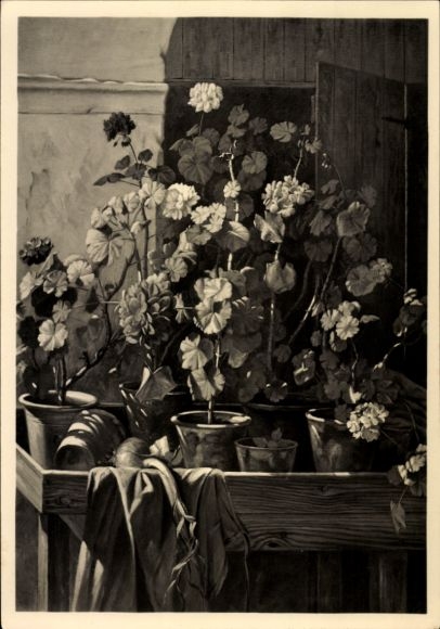 Artist PC Jurutka, Josef, geraniums, geraniums, flower pots, HDK 609