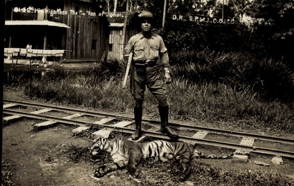 Photo Postcard Johor Malaysia, Sultan Ibrahim, killed tiger