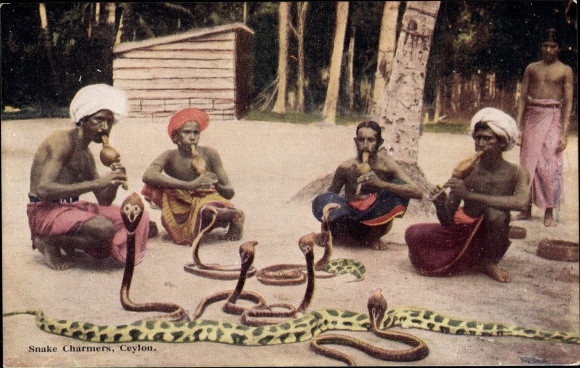Postcard Ceylon Sri Lanka, Snake Charmers