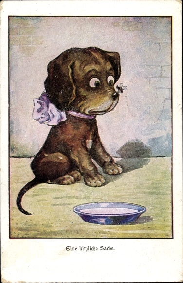 Postcard Dog with a bow tie on his muzzle, water bowl, purple ribbon