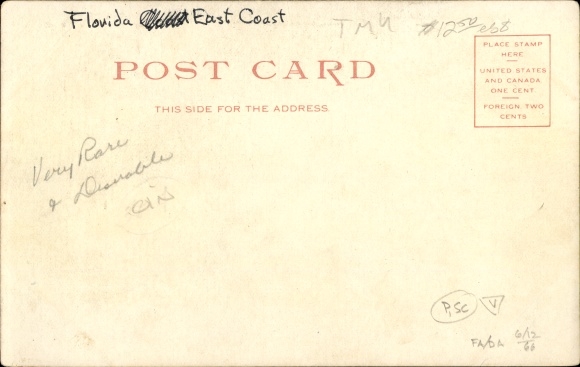 Postcard Palm Beach Florida USA, the Palm Beach Trolley, horse-drawn carriage