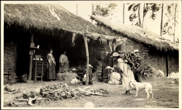 Photo Ecuador, Indians, woman carrying wood, dog, hut, around 1920
