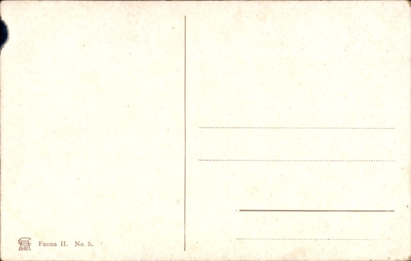 Artist Postcard Perlberg, F., Africa, Zebras