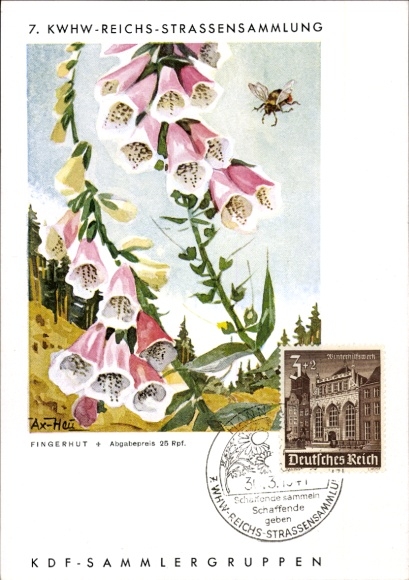 Artist Postcard Axster Heudtlaß, 7. KWHW Reichsstrassensammlung, Fingerhut