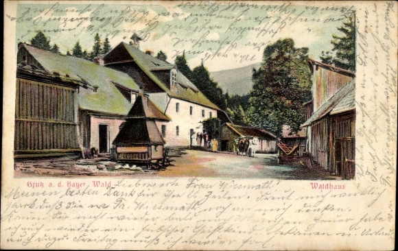 Postcard Zwieslerwaldhaus Zwiesler Waldhaus Lindberg in the Bavarian Forest, partial view