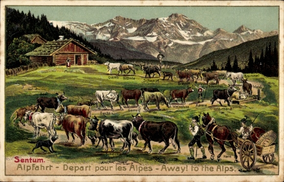Präge Ak Schweiz, Alpfahrt, Départ pour les Alpes, Kühe