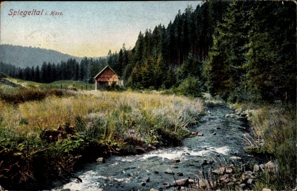 KP Sankt Andreasberg Braunlage w Górnym Harzu, Spiegeltal, rzeka, dom