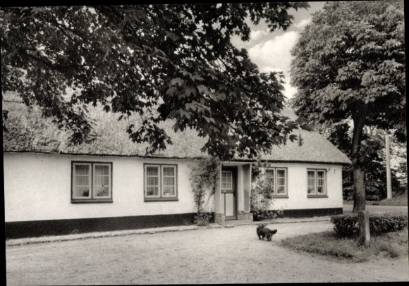 Foto Eggebek Schleswig Holstein, Wohnhaus, Hund