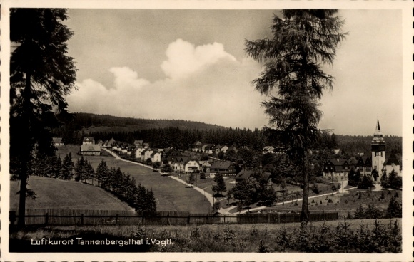 Ak Tannenbergsthal im Vogtland, Gesamtansicht