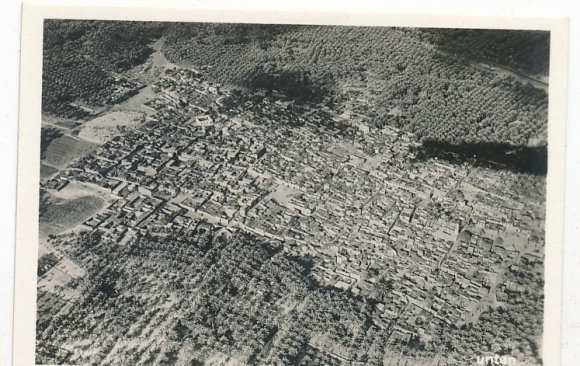 Collecting picture Zeppelin world trips Picture 212, Egypt trip 1931, village in palm forests