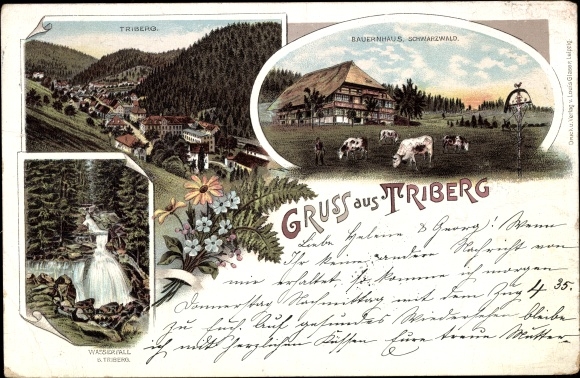 Chromo-Litho Triberg in the Black Forest, general view, waterfall, Black Forest farmhouse, cows