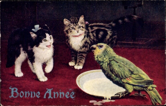 Artist Postcard Two Cats, Kittens, Parrot, Tuck 9766