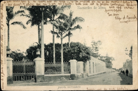 Ak Lima Peru, Botanische tuin, palmbomen, muur, ingang