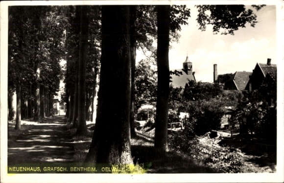 Ak Neuenhaus Grafschaft Bentheim Niedersachsen, Allee mit Bäumen, Kirche, historische Gebäude,...