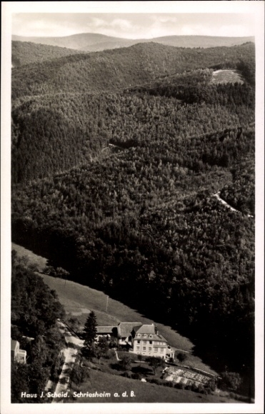 Ak Schriesheim an der Bergstraße, Landschaftsaufnahme, Haus J. Scheid, Wälder, Bergsicht