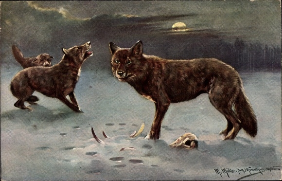 Artist PC Müller, M. jun., wolves in a winter landscape, moonlight