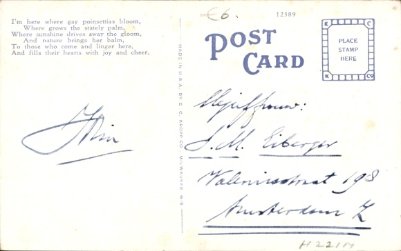 Postcard Alligators hatch from their eggs