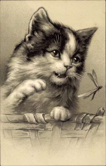 Embossed Chromo-Litho Black and white cat, dragonfly