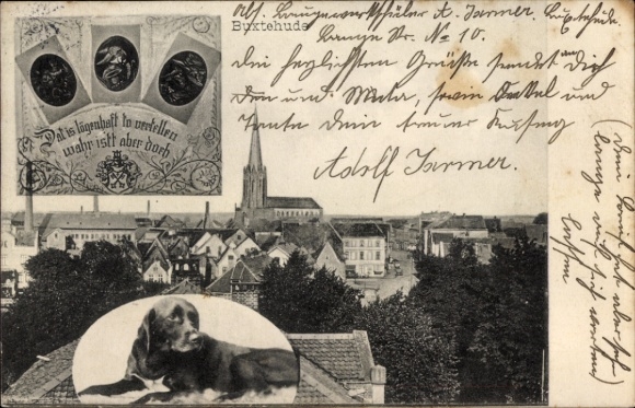Postcard Buxtehude in Lower Saxony, city view, dog in the foreground, church in the background, old ...