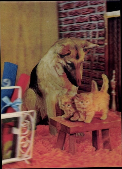 3 D Postcard Shepherd and two kittens