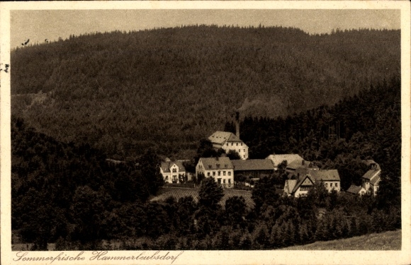 Ak Hammerleubsdorf Leubsdorf im Kreis Mittelsachsen, Gesamtansicht